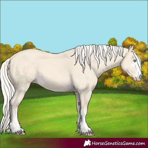 Horse Color:Cremello