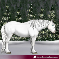 Horse Color:Cremello Snowcap