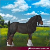 Horse Color:Liver Chestnut Tobiano 