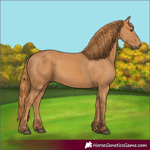 Horse Color:Unknown 