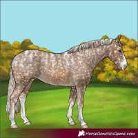 Horse Color:Powder White Chocolate Palomino Snowflake Varnish Rabicano 
