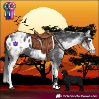 Horse Color:White Spotted Black Splash Blanket