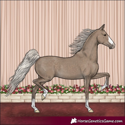 Horse Color:Silver Grullo 