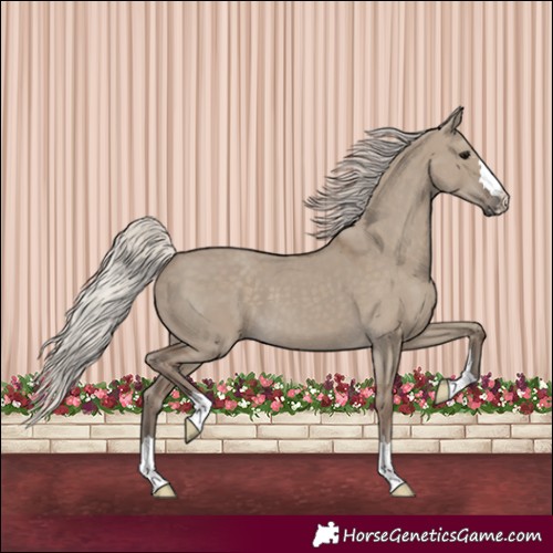 Horse Color:Silver Grullo