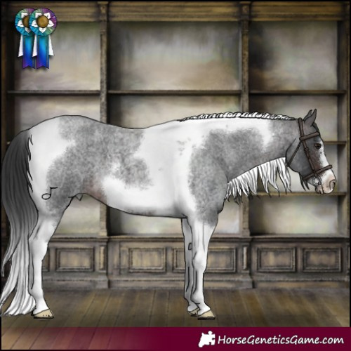 Horse Color:Brown Roan Tobiano Frame 