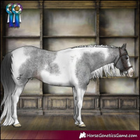 Horse Color:Brown Roan Tobiano Frame