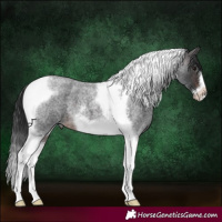 Horse Color:Brown Roan Tobiano Frame 