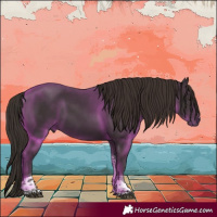 Horse Color:Liver Chestnut Tobiano