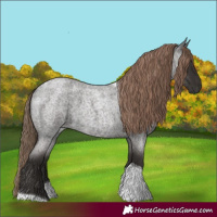 Horse Color:Liver Red Roan Tobiano