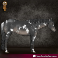 Horse Color:White Spotted Black
