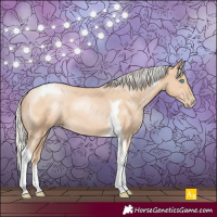 Horse Color:Silver Smoky Black Pearl Tobiano