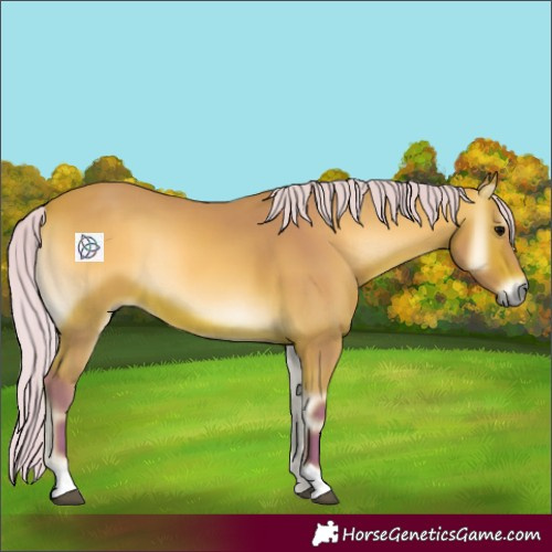 Horse Color:Watercolor Silver Bay Onyx 
