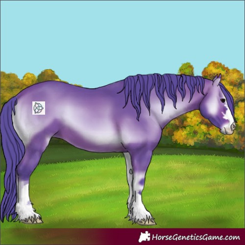 Horse Color:Watercolor Bay Onyx 