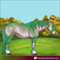Horse Color:Watercolor Brown Onyx 