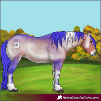 Horse Color:Watercolor Buckskin Onyx Tobiano 