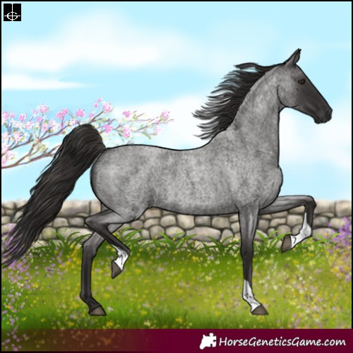 Horse Color:Liver Red Roan Tobiano 