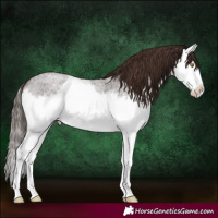 Horse Color:Liver Red Roan Splash 