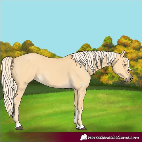 Horse Color:Palomino Dun 