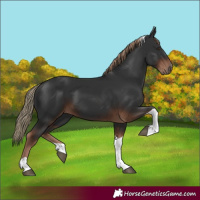 Horse Color:Liver Chestnut Tobiano 