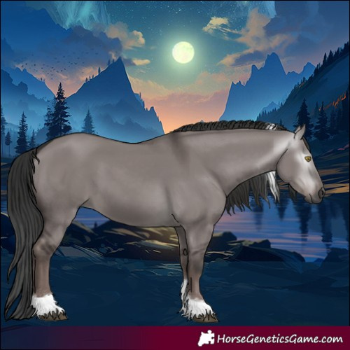 Horse Color:Gray Platinum Liver Red Dun Tobiano Rabicano 
