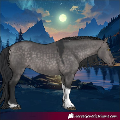 Horse Color:Platinum Brown Dun Tobiano Rabicano 