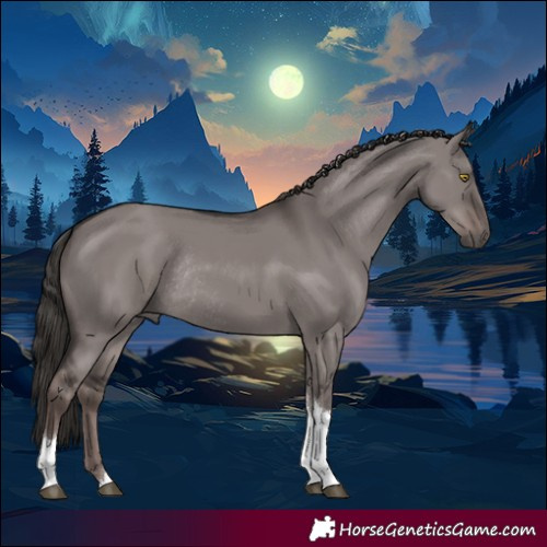 Horse Color:Platinum Liver Red Dun Tobiano Rabicano 