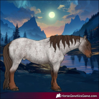 Horse Color:Liver Red Roan 