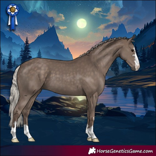 Horse Color:Silver Black 