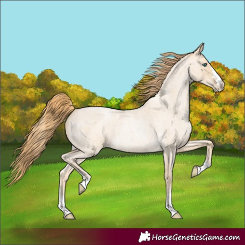 Horse Color:Smoky Blue Roan Pearl 