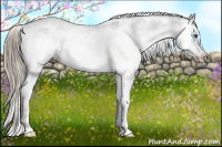 Horse Color:Liver Chestnut Sabino Splash Frame Varnish 