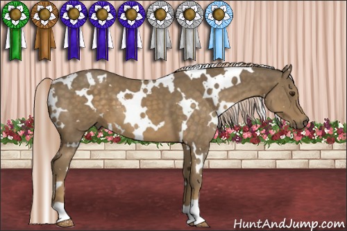 Horse Color:White Spotted Chocolate Palomino 