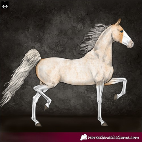 Horse Color:Silver Buckskin Roan Splash