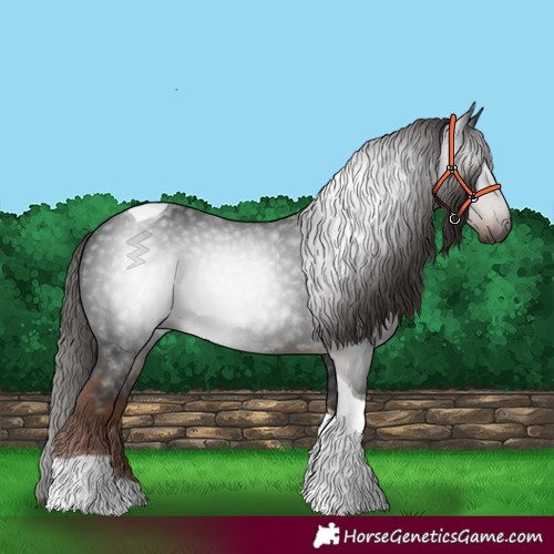 Horse Color:Gray Liver Chestnut Tobiano 