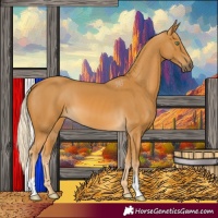 Horse Color:Palomino 