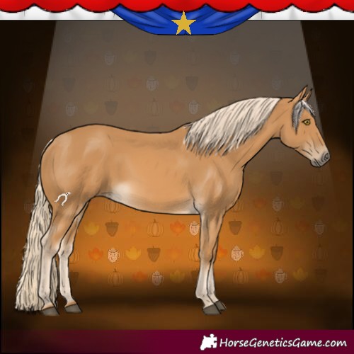 Horse Color:Palomino 