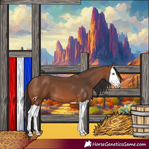 Horse Color:Bay Splash 