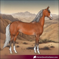Horse Color:Silver Bay 