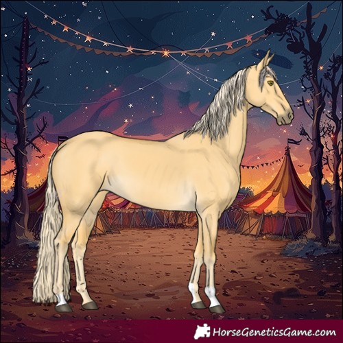 Horse Color:Palomino Dun 