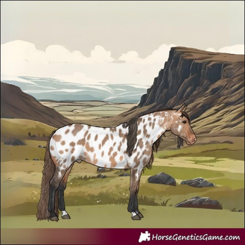 Horse Color:Bay Dun Near Leopard 