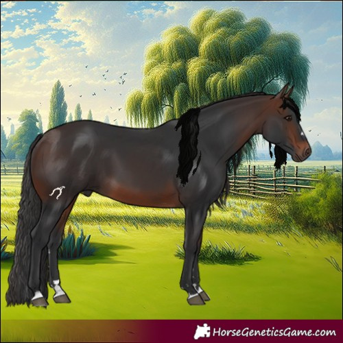Horse Color:Brown 