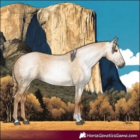 Horse Color:Gray Palomino Dun Tobiano