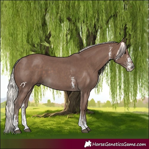 Horse Color:Silver Black Sabino 