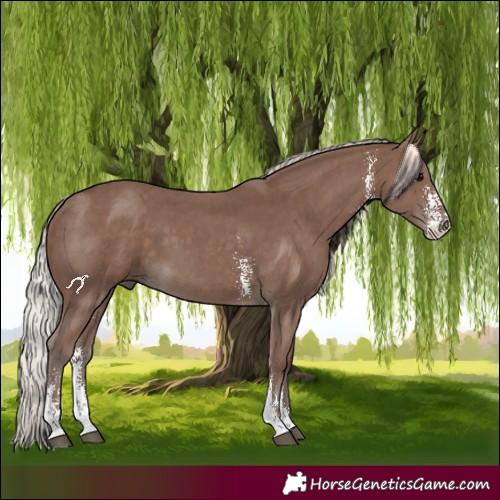 Horse Color:Silver Black Sabino 