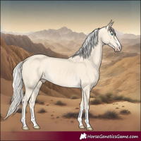 Horse Color:Cremello 