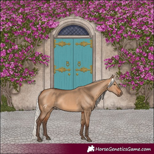 Horse Color:Silver Bay Dun Rabicano 