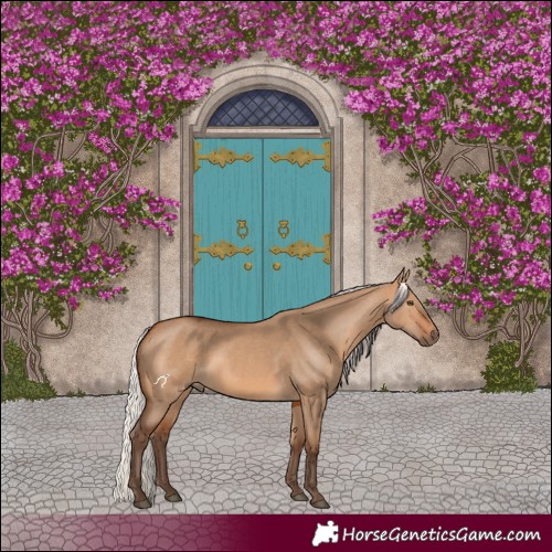 Horse Color:Silver Bay Dun Rabicano 