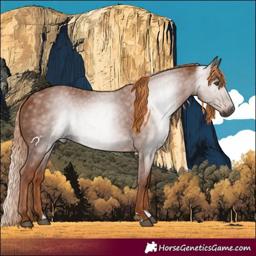 Horse Color:Gray Chestnut 