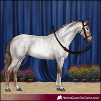 Horse Color:Gray Red Roan Tobiano Rabicano