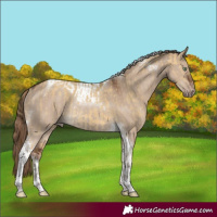 Horse Color:Sable Cream Champagne Dun Tobiano Rabicano  and Liver Red Dun Tobiano Rabicano 