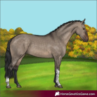 Horse Color:Brown Dun Tobiano Rabicano 